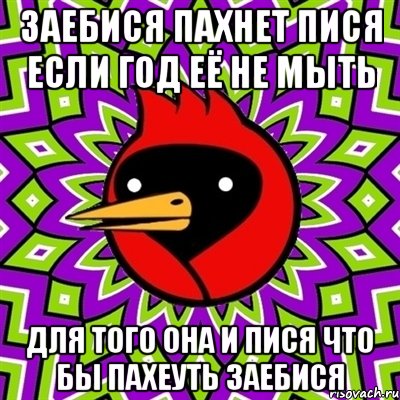 заебися пахнет пися если год её не мыть для того она и пися что бы пахеуть заебися, Мем Омская птица