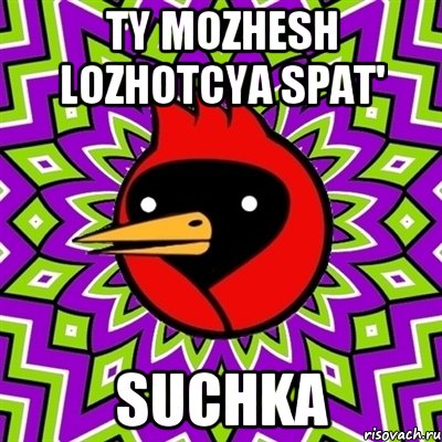 Ty mozhesh lozhotcya spat' Suchka, Мем Омская птица