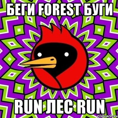 Беги Forest буги Run лес Run, Мем Омская птица