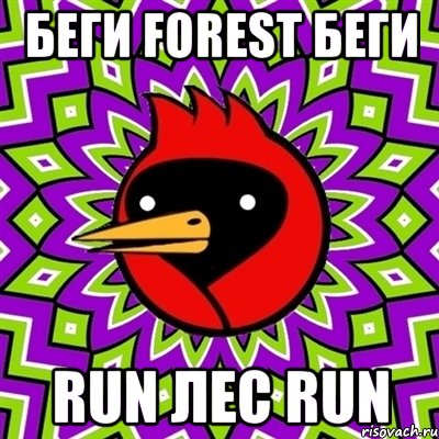 Беги Forest беги Run лес Run, Мем Омская птица