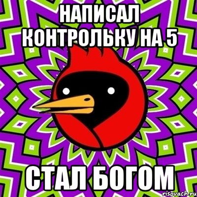 написал контрольку на 5 стал богом, Мем Омская птица