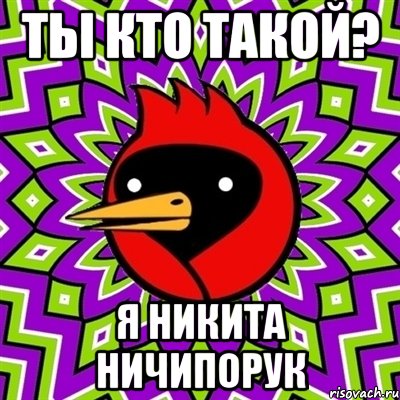 Ты кто такой? Я Никита НИчипорук, Мем Омская птица