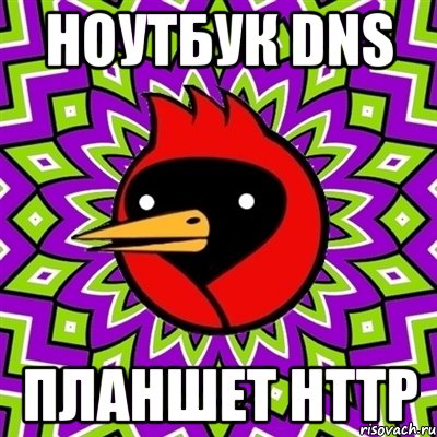 ноутбук dns планшет http, Мем Омская птица