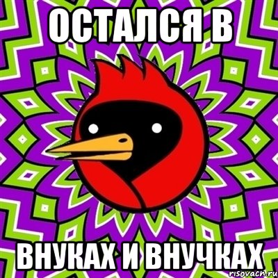 остался в внуках и внучках, Мем Омская птица