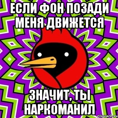 Если фон позади меня движется значит, ты наркоманил, Мем Омская птица