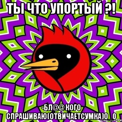 ТЫ ЧТО УПОРТЫЙ ?! -бл@@ кого спрашиваю(отвичаетсумка)о_0, Мем Омская птица