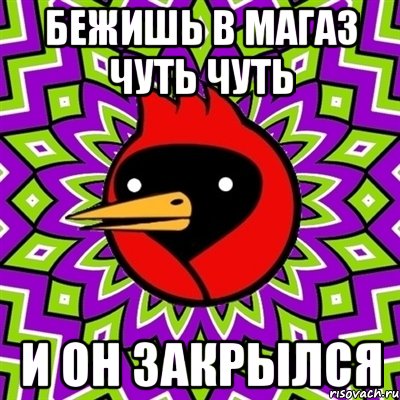 Бежишь в магаз чуть чуть И он закрылся, Мем Омская птица