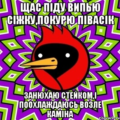 щас піду випью сіжку,покурю півасік занюхаю стейком,і поохлаждаюсь возле каміна, Мем Омская птица