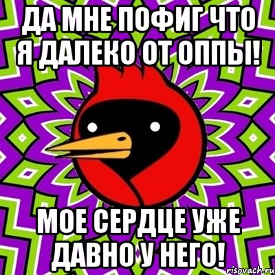 Да мне пофиг что я далеко от Оппы! Мое сердце уже давно у него!, Мем Омская птица