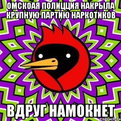 Омскоая полицция накрыла крупную партию наркотиков Вдруг намокнет, Мем Омская птица