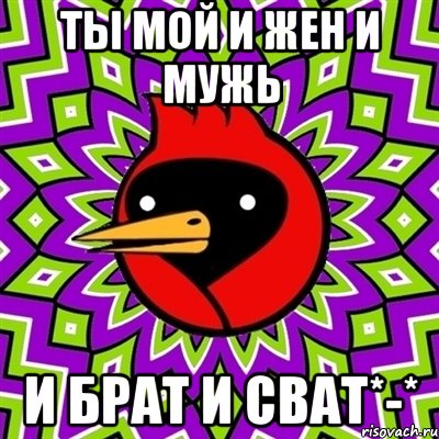 ТЫ МОЙ И ЖЕН И МУЖЬ И БРАТ И СВАТ*-*, Мем Омская птица