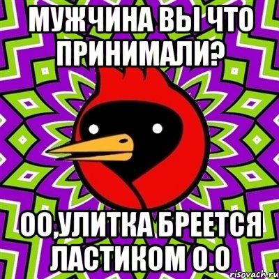 мужчина вы что принимали? оо,улитка бреется ластиком О.о, Мем Омская птица