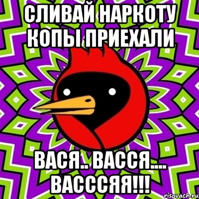 сливай наркоту копы приехали Вася.. ВАССЯ.... ВАСССЯЯ!!!, Мем Омская птица