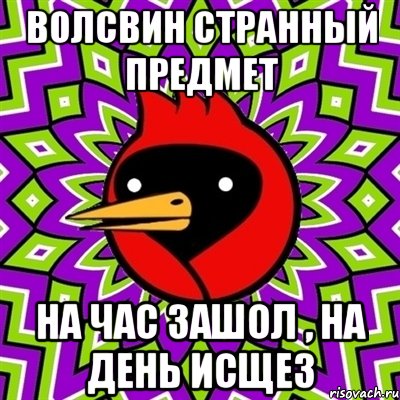 Волсвин Странный предмет На час зашол , На день исщез, Мем Омская птица