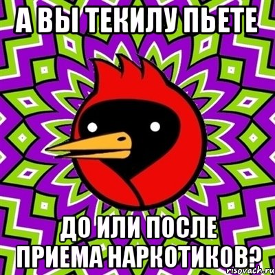 А ВЫ ТЕКИЛУ ПЬЕТЕ ДО ИЛИ ПОСЛЕ ПРИЕМА НАРКОТИКОВ?, Мем Омская птица