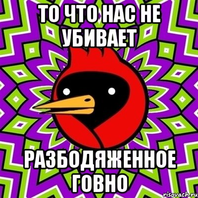 ТО ЧТО НАС НЕ УБИВАЕТ РАЗБОДЯЖЕННОЕ ГОВНО, Мем Омская птица