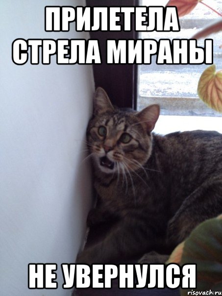 прилетела стрела мираны не увернулся, Мем оо