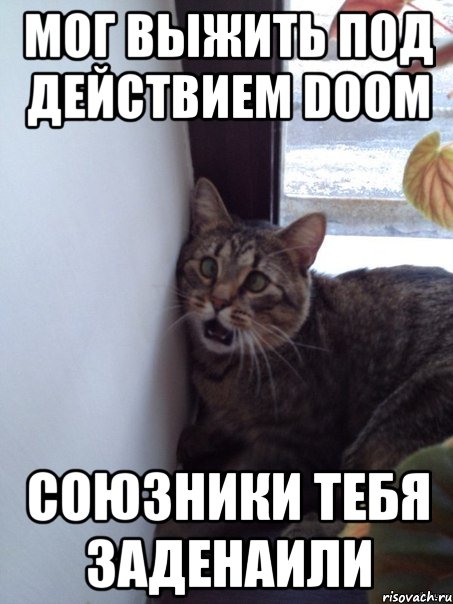 мог выжить под действием Doom союзники тебя заденаили, Мем оо