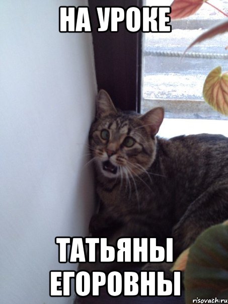 На уроке Татьяны егоровны, Мем оо