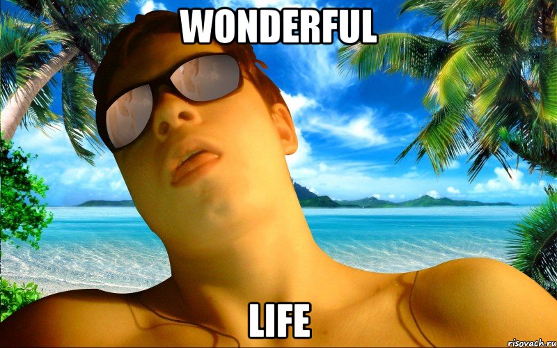 WONDERFUL LIFE