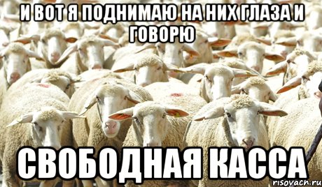 и вот я поднимаю на них глаза и говорю свободная касса