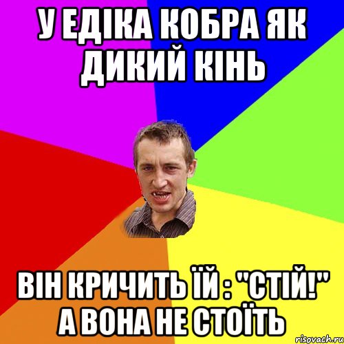 у едіка кобра як дикий кінь він кричить їй : "стій!" а вона не стоїть, Мем Чоткий паца