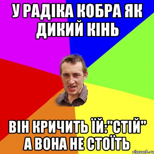 у Радіка кобра як дикий кінь Він кричить їй:"СТІЙ" а вона не стоїть, Мем Чоткий паца