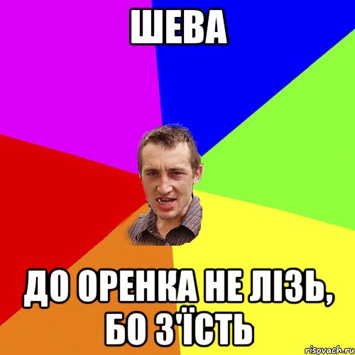 Шева до оренка не лізь, бо з'їсть, Мем Чоткий паца