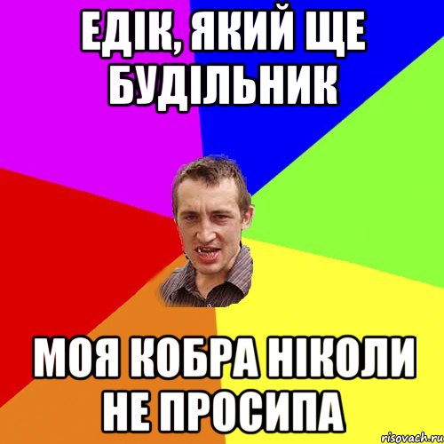 Едік, який ще будільник моя кобра ніколи не просипа, Мем Чоткий паца