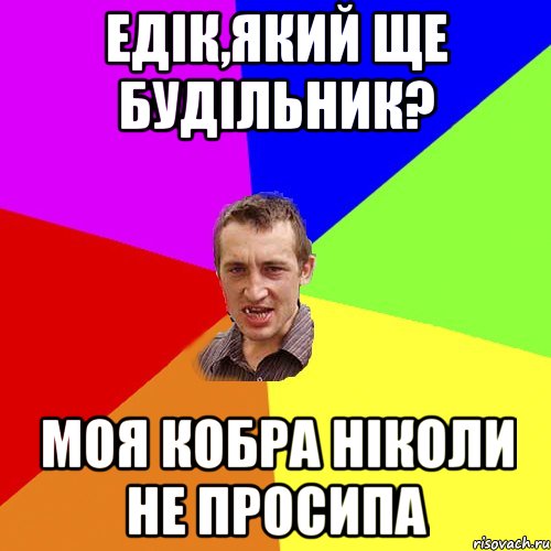 Едік,який ще будільник? моя кобра ніколи не просипа, Мем Чоткий паца