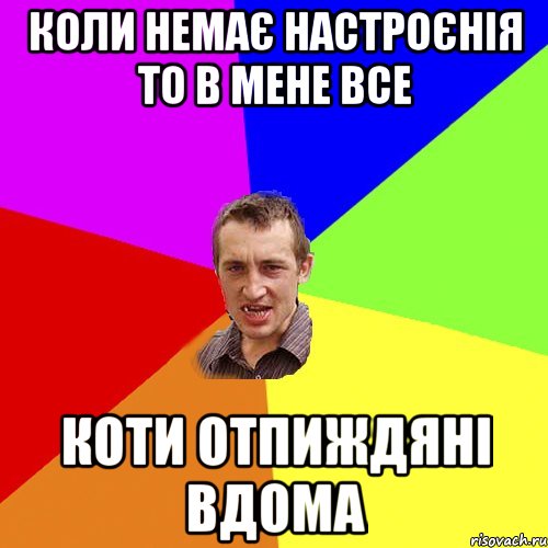 коли немає настроєнія то в мене все коти отпиждяні вдома, Мем Чоткий паца