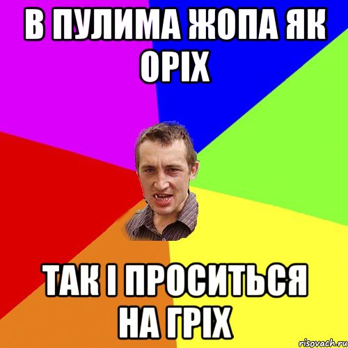 В ПУЛИМА ЖОПА ЯК ОРІХ ТАК І ПРОСИТЬСЯ НА ГРІХ, Мем Чоткий паца