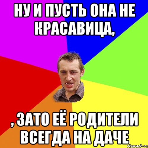 Ну и пусть она не красавица, , зато её родители всегда на даче, Мем Чоткий паца