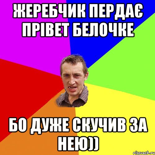 Жеребчик пердає прівет Белочке Бо дуже скучив за нею)), Мем Чоткий паца