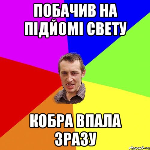 Побачив на підйомі свету кобра впала зразу, Мем Чоткий паца