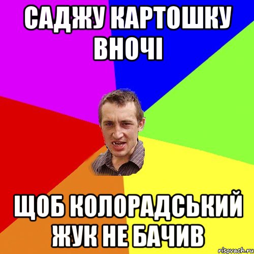 саджу картошку вночі щоб колорадський жук не бачив, Мем Чоткий паца