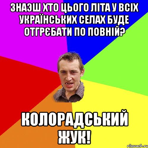 Знаэш хто цього літа у всіх українських селах буде отгрєбати по повній? колорадський жук!, Мем Чоткий паца