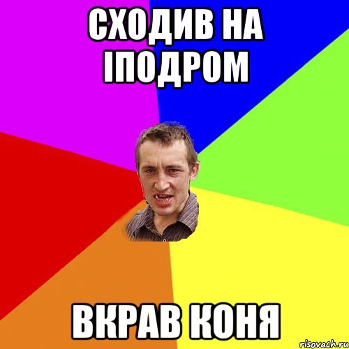 сходив на іподром вкрав коня, Мем Чоткий паца