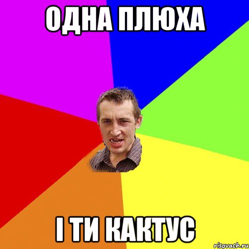 Одна плюха і ти кактус, Мем Чоткий паца