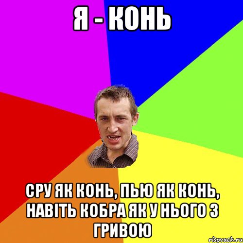 я - конь сру як конь, пью як конь, навіть кобра як у нього з гривою, Мем Чоткий паца