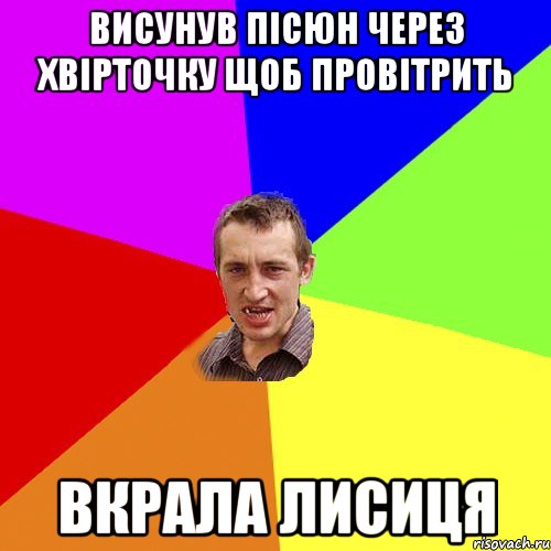висунув пісюн через хвірточку щоб провітрить вкрала лисиця, Мем Чоткий паца