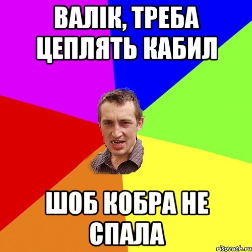 Валік, треба цеплять кабил шоб кобра не спала, Мем Чоткий паца