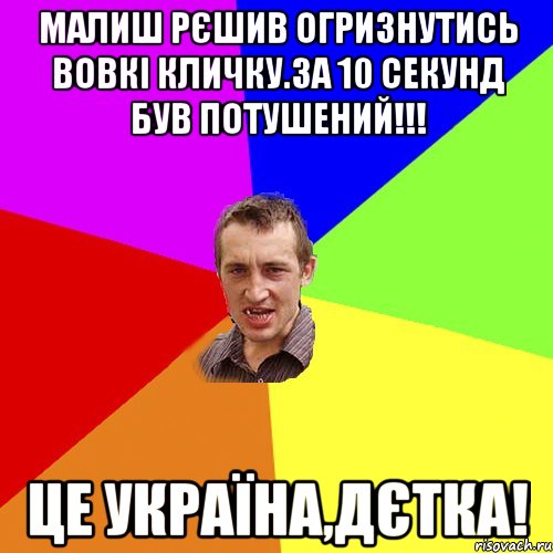 малиш рєшив огризнутись вовкі кличку.за 10 секунд був потушений!!! це україна,дєтка!, Мем Чоткий паца