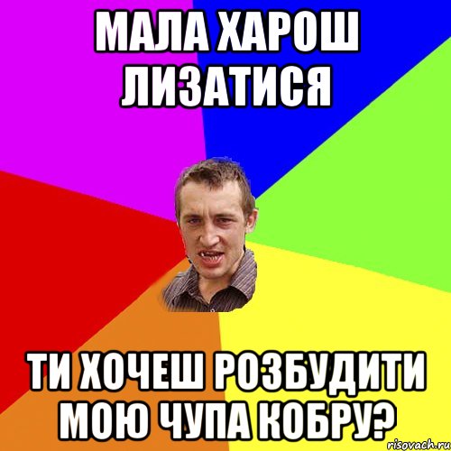 МАЛА ХАРОШ ЛИЗАТИСЯ ТИ ХОЧЕШ РОЗБУДИТИ МОЮ ЧУПА КОБРУ?, Мем Чоткий паца