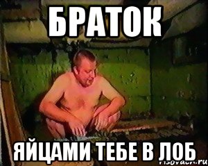 браток яйцами тебе в лоб