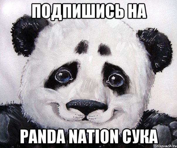 Подпишись на Panda Nation сука