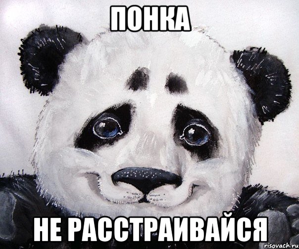Понка Не расстраивайся