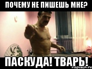 Почему не пишешь мне? Паскуда! Тварь!, Мем Паскуда тварь