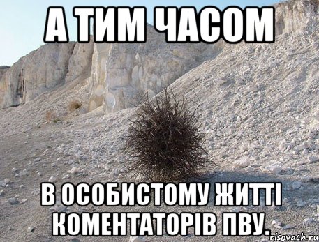 А тим часом в особистому житті коментаторів ПВУ., Мем перекати-поле