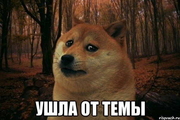  Ушла от темы, Мем SAD DOGE